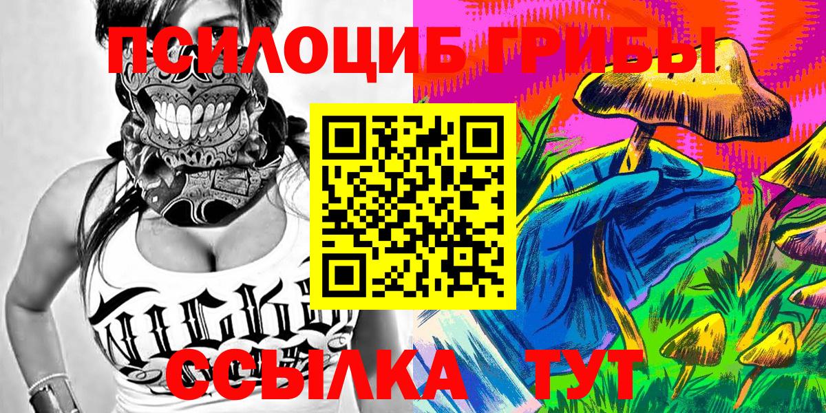 как найти закладки  Вход с VPN  Прокопьевск  Псилоцибиновые грибы ЛСД 